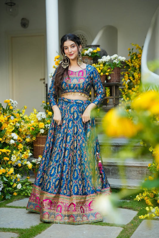 Raanya Blue Lehenga Choli Set